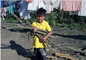 Eliseo collecting firewood